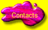  Contacts