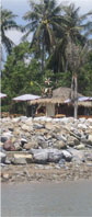 sing_beach bar